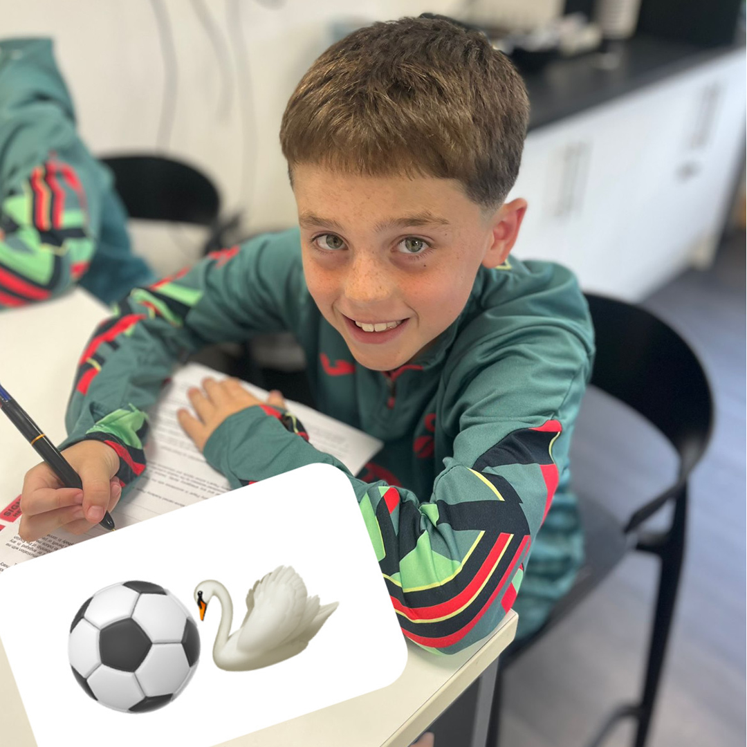 Swansea signing